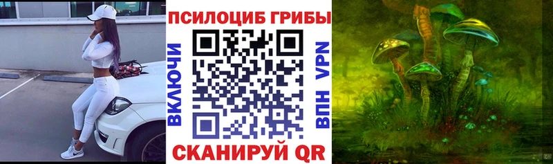 сколько стоит  Никольское  Псилоцибиновые грибы MAGIC MUSHROOMS 